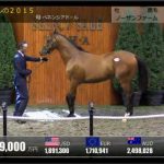 Dmmバヌーシー Dmmの一口馬主サービスを徹底解説 競馬中毒者の祭典